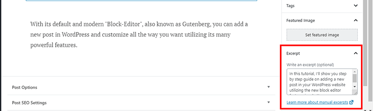 WP Post Featured Image WP Post Featured Image Excerpt