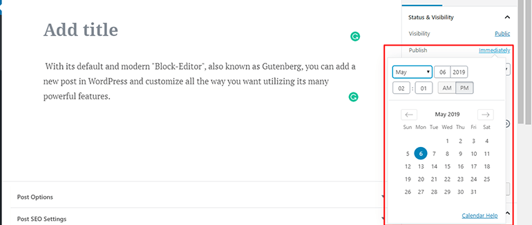 WP Post Publish Option WP Post Publish Option