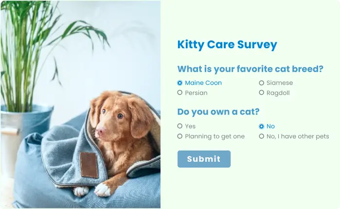 Quiz Survey Form 4673